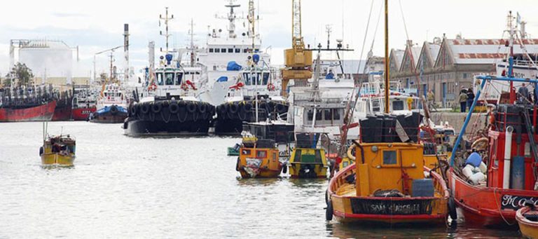 Bahía Blanca: Cayó un 10% el envío de cebada por el puerto