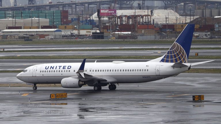 United Airlines envió por error un perro a Japón que debía estar en Estados Unidos