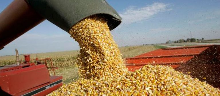 Agroexportadores liquidaron más de US$ 3.500 millones en exportaciones