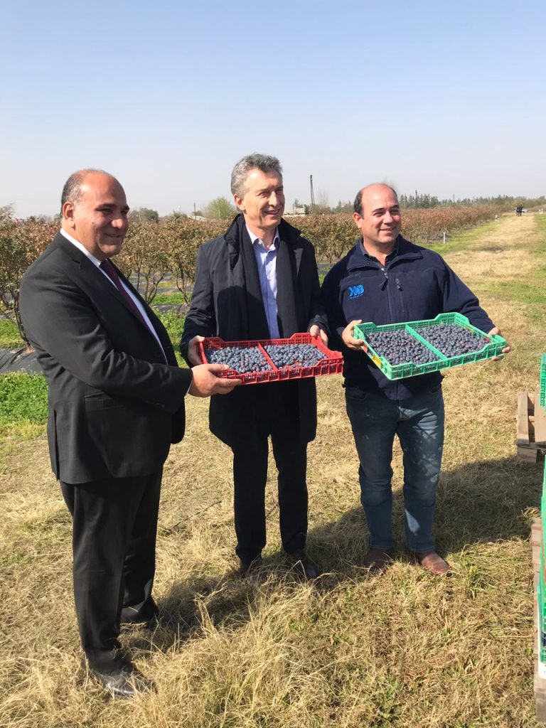 Macri visitó campos de arándanos en Tucumán
