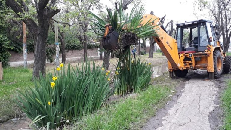 Moreno: Llamarán a licitación para obras viales