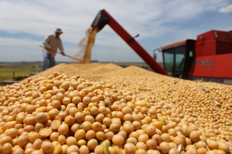 En 2018 cayeron las exportaciones de granos