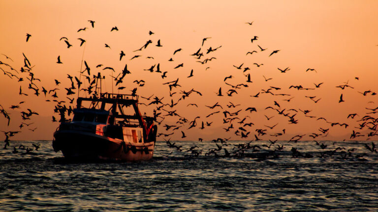 La pesca ilegal se lleva US$ 2 mil millones de Argentina por año