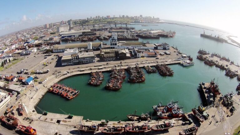 Una firma danesa presenta la única oferta para dragar el puerto de Mar del Plata