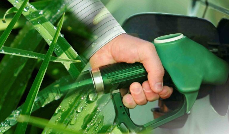 Empersarios respaldan el nuevo Plan de Biocombustibles