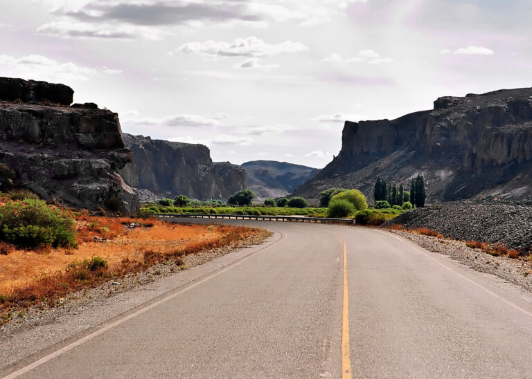 Chubut fue la provincia patagónica con más controles al transporte en 2024