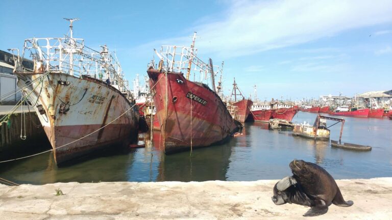 Lanzan un segundo llamado a licitación para el dragado del puerto de Mar del Plata