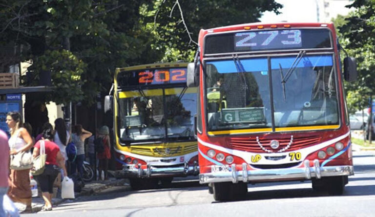 Anuncian paro total de micros que afectará a todas las líneas de La Plata, Berisso y Ensenada