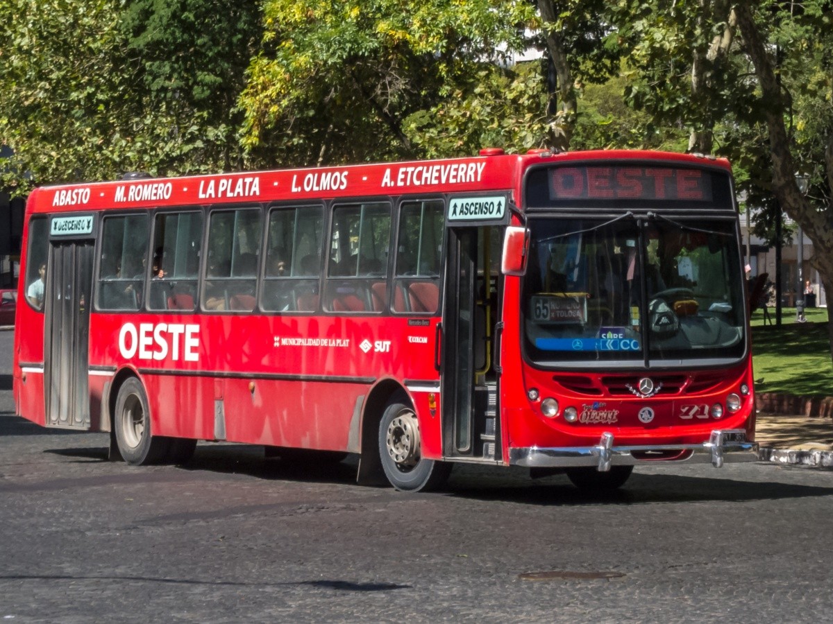 La Plata el servicio de transporte público retomó la frecuencia