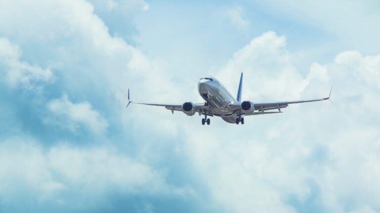 Vuelos cancelados, demorados o ratificados: el paro del 24 de enero según las aerolíneas