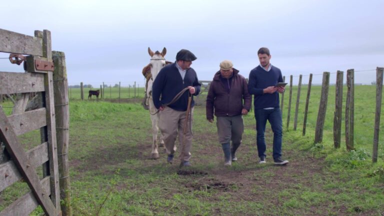 La CNTA rechazó la impugnación del pago de un bono adicional a trabajadores del sector agropecuario