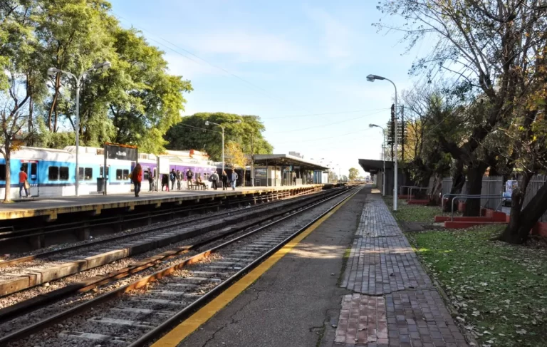 Habilitarán trenes de pasajeros en un ramal de Zona Oeste