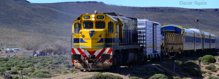 Reconocieron al Tren Patagónico con la Marca País