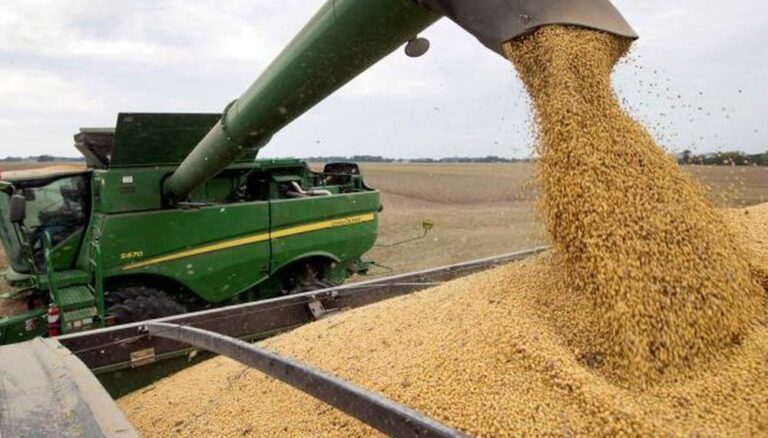 Agroexportadores pidieron la unificación del tipo de cambio