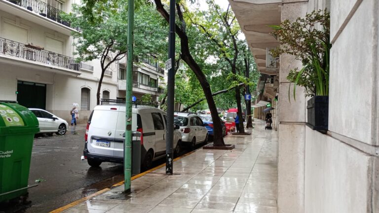 Tardarán al menos una semana para limpiar la Ciudad de Buenos Aires tras el temporal