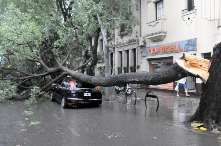 Temporal en Santa Fe: alertan por cambios en los recorridos del transporte público