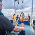 Fishermen and scientists pay out trawler net on research ship