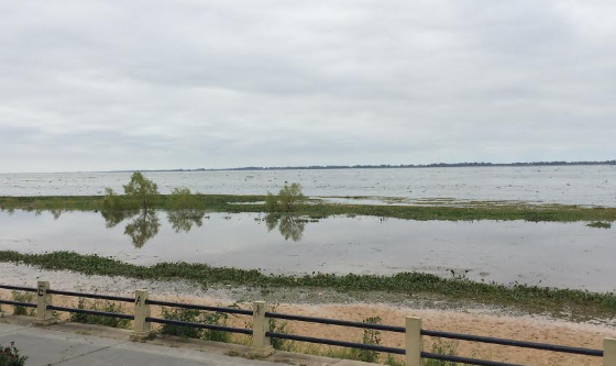 Informan un descenso importante en el nivel del Río Paraná