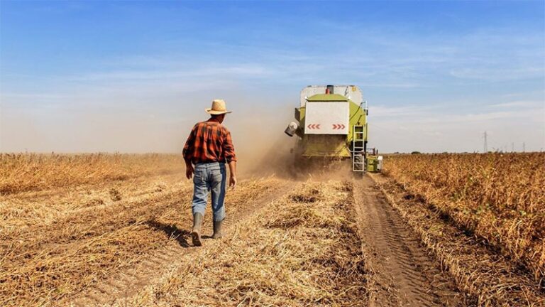 Trabajadores rurales lograron una nueva actualización salarial para marzo y un básico superior a 425 mil más un bono