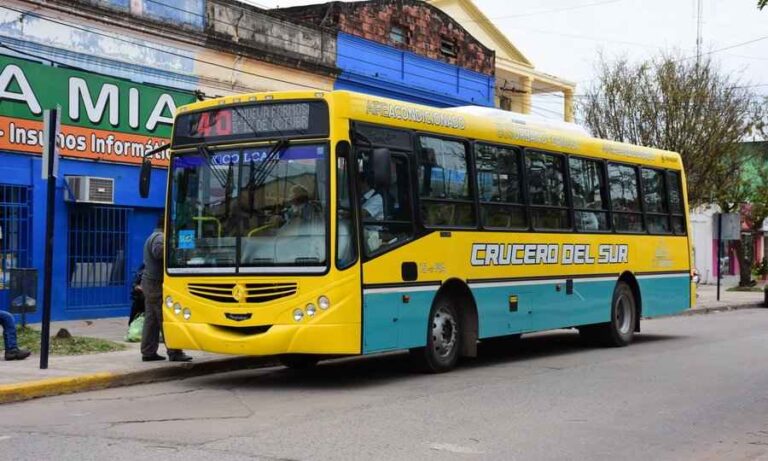 Formosa: La Municipalidad buscará por vía judicial hacerse cargo de 40 colectivos que no prestan servicio actualmente