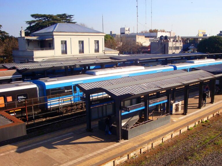 Viral: quiso subirse a un tren en movimiento y cayó a las vías