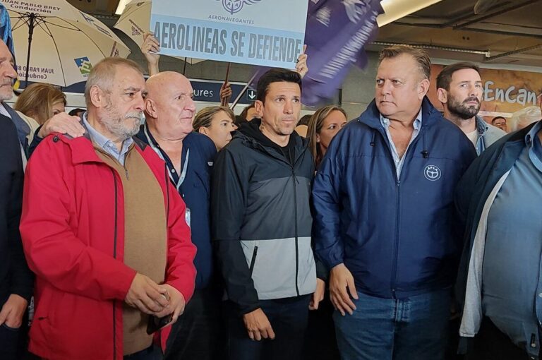 Aeronavegantes repudió la destitución de Pablo Biró del directorio de Aerolíneas Argentinas y la calificó de “despótica”