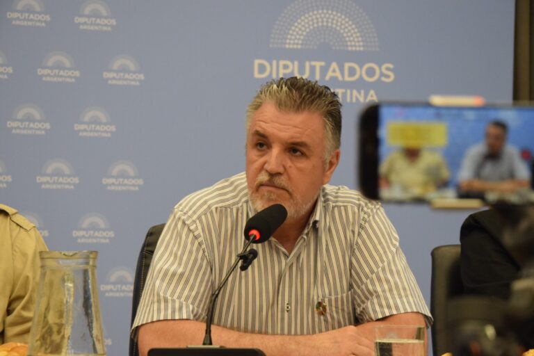 El Centro de Patrones cruzó a Sturzenegger: “Hay Marina Mercante y vos la querés liquidar”
