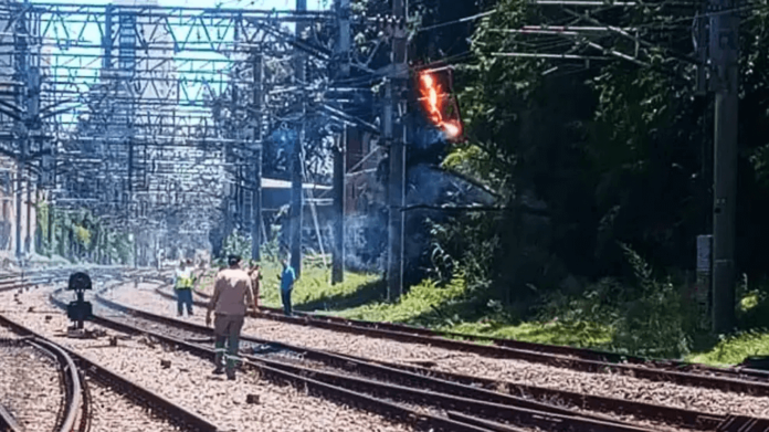 La caída de una rama generó la interrupción del Ferrocarril Roca durante algunas horas