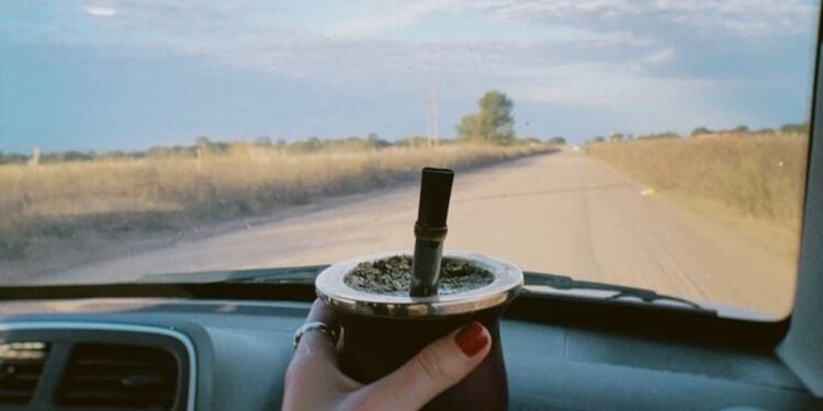 Córdoba y Mendoza prohíben tomar mate al volante en rutas: multas de hasta $420.000