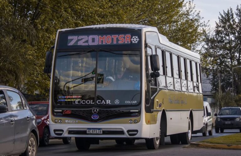 Tigre: detectan un colectivero con casi un gramo de alcohol en sangre